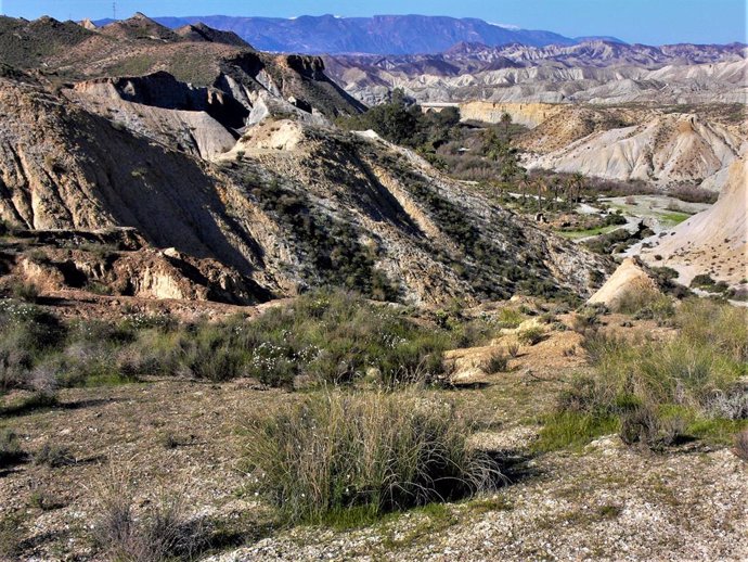 La adaptación al cambio climático hasta 2030 en España incorporará los DDHH, y e