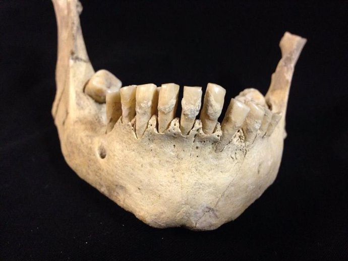 Los restos más antiguos de consumo de leche, en dientes de 6.000 años