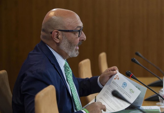 El portavoz parlamentario de Vox en Andalucía, Alejandro Hernández