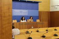 Adelante: "Junta ningunea la violencia machista con el teléfono de violencia intrafamiliar para no enfadar a Vox"