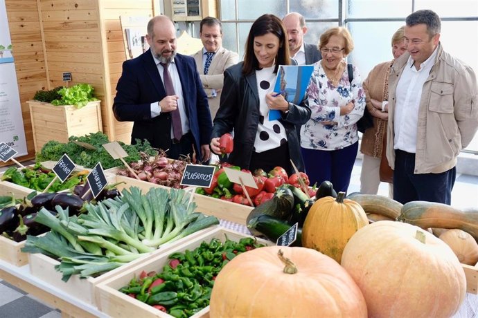 Alcaldesa visita proyecto Ampros en Mercasantander