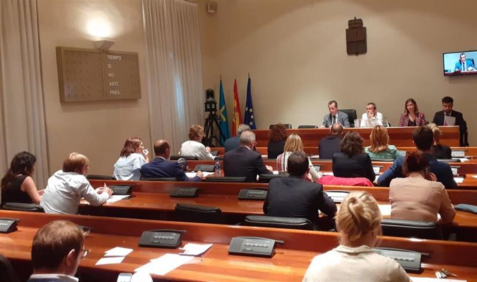 Consititución de las comisiones permanentes de la Junta General