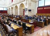 El Pleno del Parlamento designa a los consejeros de Cs, Adelante y Vox en la Cámara de Cuentas