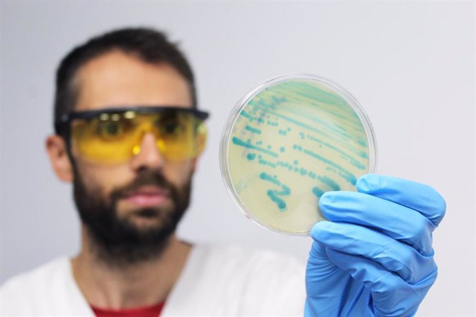 Microbiólogo trabajando en el laboratorio con listeria