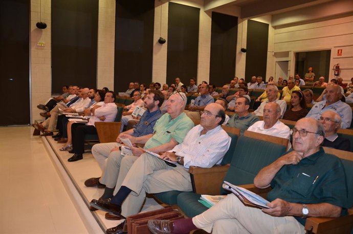 Sevilla.- Asaja alerta de un incremento del precio de la aceituna de mesa "ante 