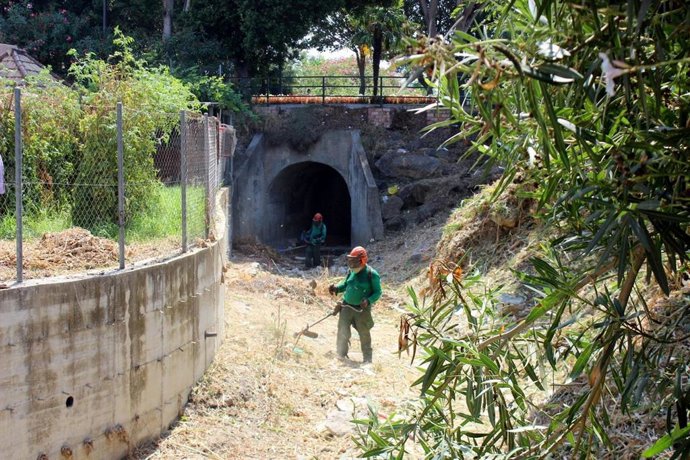 Un operario desbroza el cauce de un arroyo en el municipio malagueño de Estepona