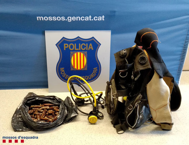 Dues persones denunciades per pescar de forma irregular dàtil de mar a la zona del Port de Cambrils Agencia Catalana de Noticias