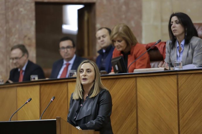 La consejera de Fomento, Infraestructuras y Ordenación del Territorio, Marifrán Carazo, en una imagen de archivo