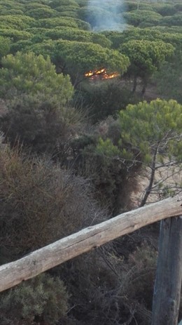 Imagen de un incendio en una zona colidante al Parque Natural de Doñana.