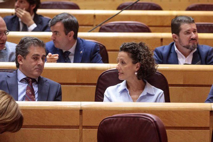 La senadora de Cs por Zaragoza, Ana Velilla