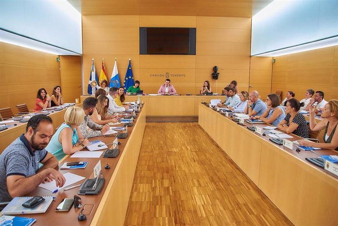 Reunión en el Cabildo con ayuntamientos y entidades ciudadanas