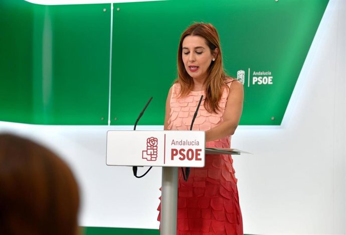La portavoz de Educación del Grupo Parlamentario Socialista, Beatriz Rubiño, en rueda de prensa
