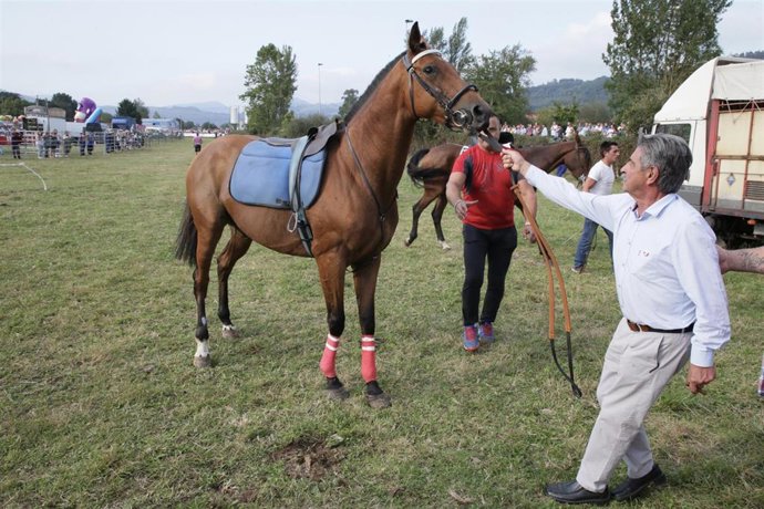 Presidente Caballos Molledo