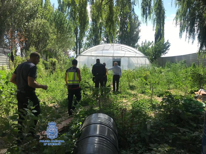 Zaragoza.- Sucesos.- Detenidos un padre y su hijo por cultivar marihuana en Ejea