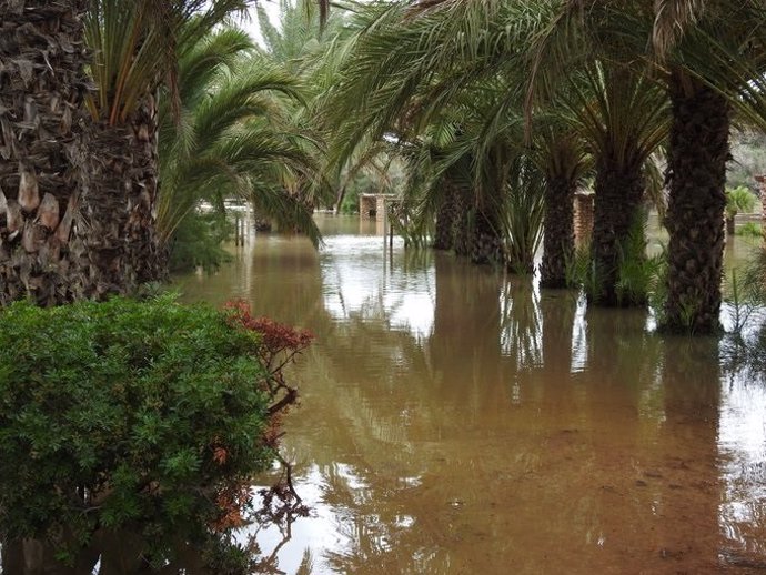 Paraje del Clot de Galvany de Elx inundado