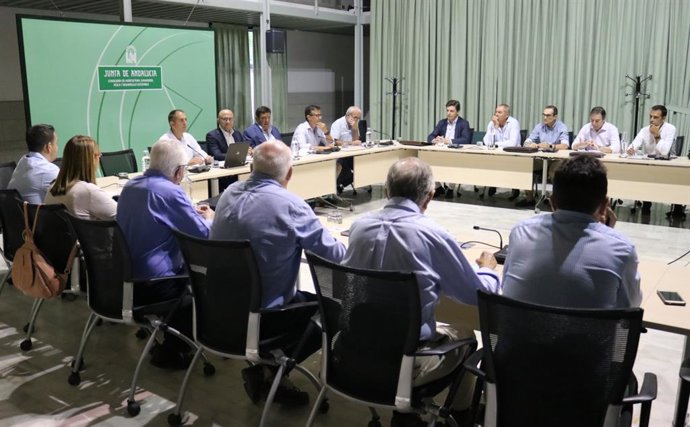 La campaña del algodón de Andalucía superará las 209.000 toneladas, un 6% más qu