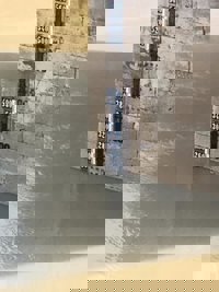 Continúan descendiendo los caudales por el río Segura