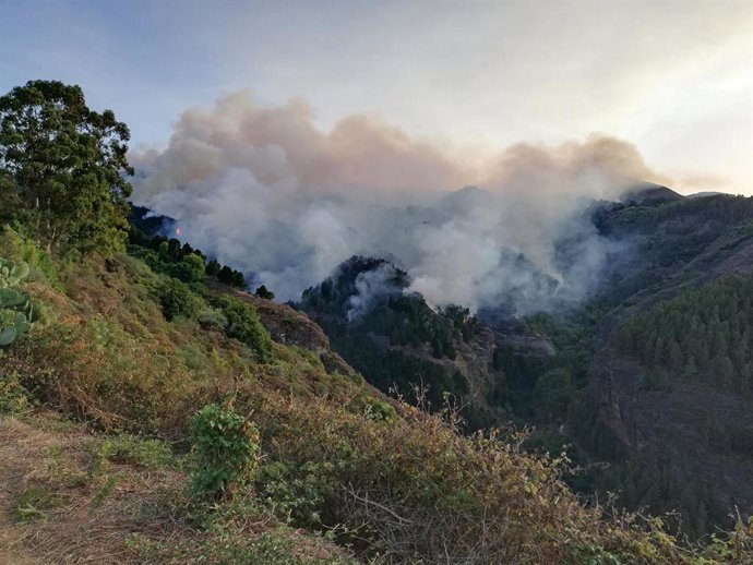 Incendio de Valleseco en la isla de Gran Canaria.