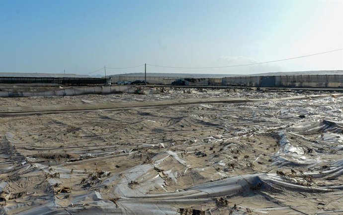 Temporal.-Organizaciones agrarias estiman en miles las hectáreas afectadas en Al