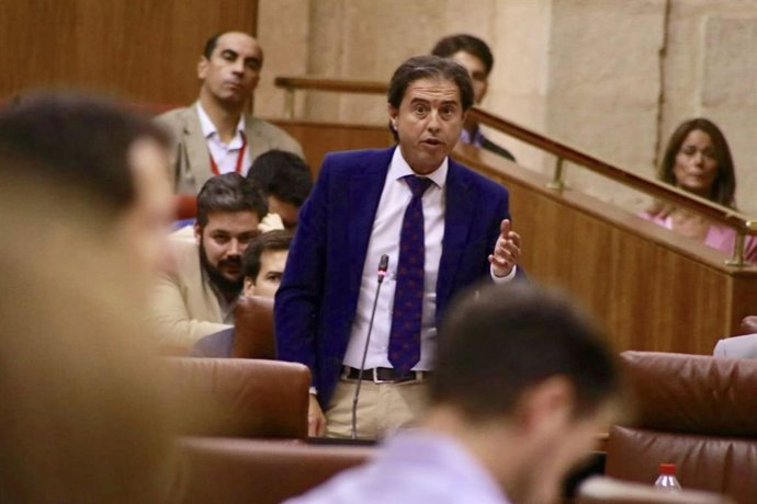 El diputado de Vox en el Parlamento andaluz Benito Morrillo