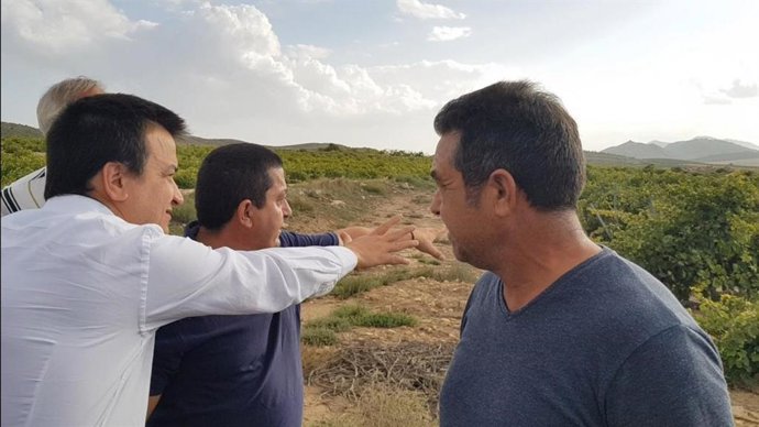 Temporal.- C-LM pedirá al Ministerio de Hacienda la reducción de módulos en la r