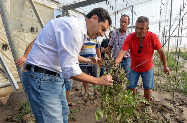 El presidente de la Junta de Andalucía, Juanma Moreno (camisa blanca), ha visitado esta mañana los invernaderos de Almería, zona afectada por las fuertes lluvias de este pasado fin de semana.