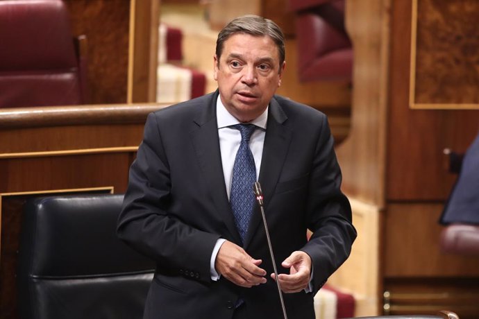 Planas pide a Rivera que actúe y se abstenga: "Las cosas no se dicen, se hacen"