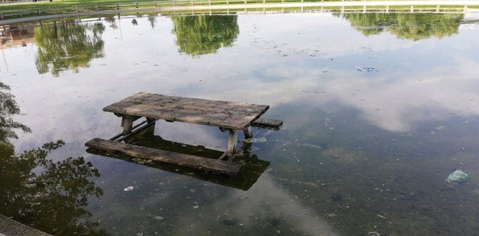 Mesa de madera arrojada al estanque de El Mazo