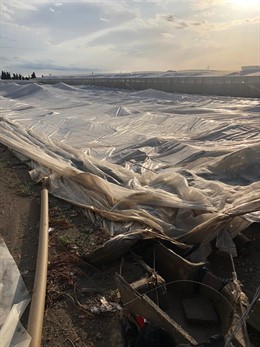 Invernaderos afectados por el temporal en Almería.