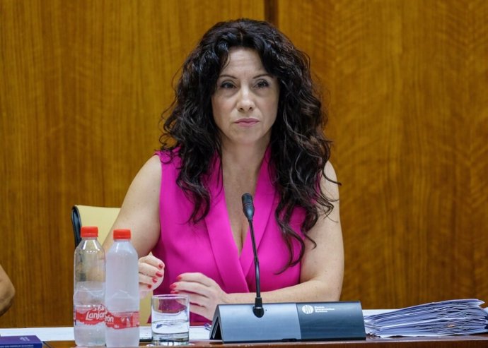 Imagen de archivo de la consejera de Igualdad, Rocío Ruiz, durante su comparecencia en una comisión parlamentaria.