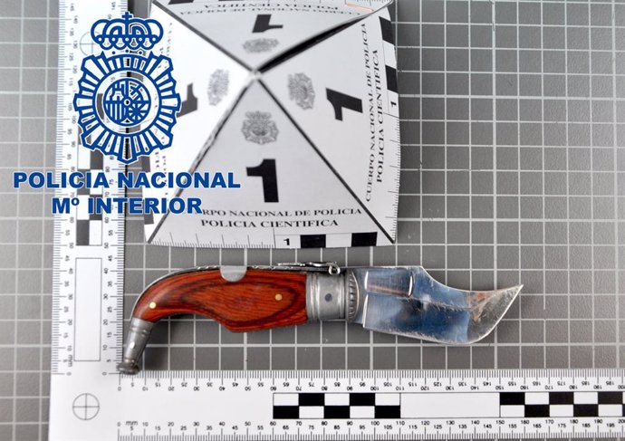 Objectes confiscats per la Policia Nacional després d'una detenció a Mallorca
