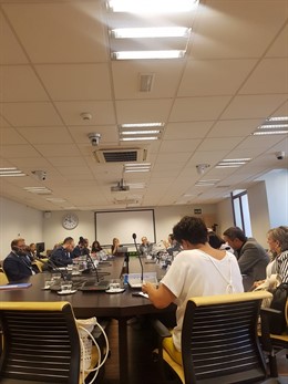 Imagen de la Comisión de Desarrollo Urbano Sostenibloe del Ayuntamiento de Madrid