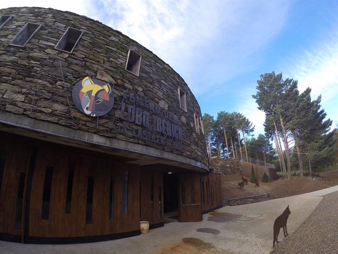 Centro del Lobo, en Robledo (Zamora), celebra el sábado una jornada de puertas abiertas para mostar a sus cuatro nuevos lobeznos.