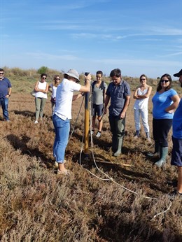 Taller formativo sobre el carbono asimulado y almacenado por espacios naturales.