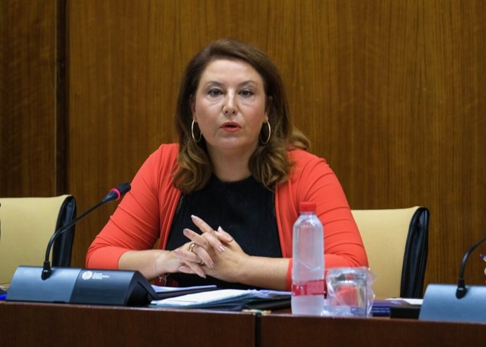 AMP.- Junta dice que pondría "en la calle" a cargos imputados tras sospechar PSO