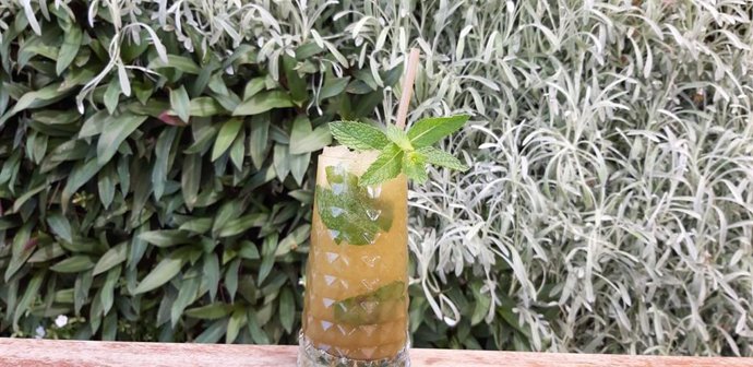 Fuerte Group Hotels inicia una campaña para reducir el plástico en sus hoteles