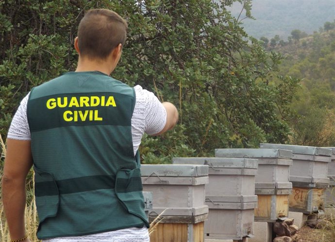 Agente de la Guardia Civil con varias de las colmenas robadas de una explotación apícola de Lorca