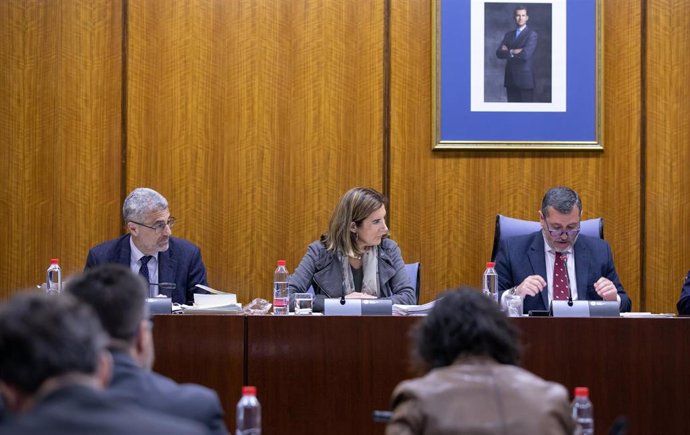 La consejera de Empleo, Formación y Trabajo Autónomo, Rocío Blanco, comparece en comisión parlamentaria, en una imagen de archivo.