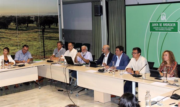 El secretario general de Agricultura, Ganadería y Alimentación, Vicente Pérez, junto con representantes del sector del olivar de Andalucía
