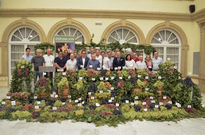 Muestra de variedades de uva de mesa de la provincia de Almería