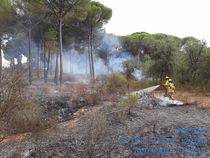 Imagen de un incendio declarado en el término municipal de Almonte (Huelva).