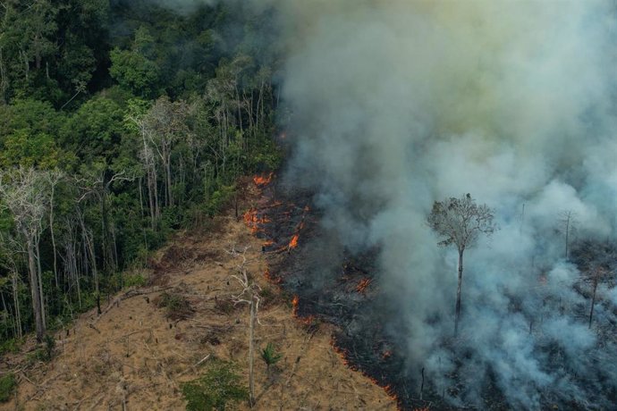 Incendio en Amazonas 
