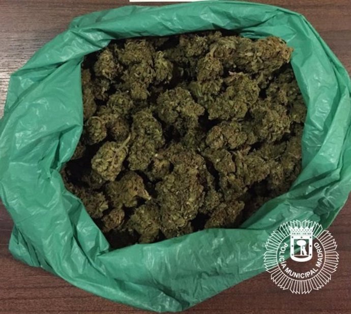 La Policía municipal de Madrid ha detenido a una persona por llevar 200 gramos de marihuana que iba a introducir en las Fiestas de la Elipa.