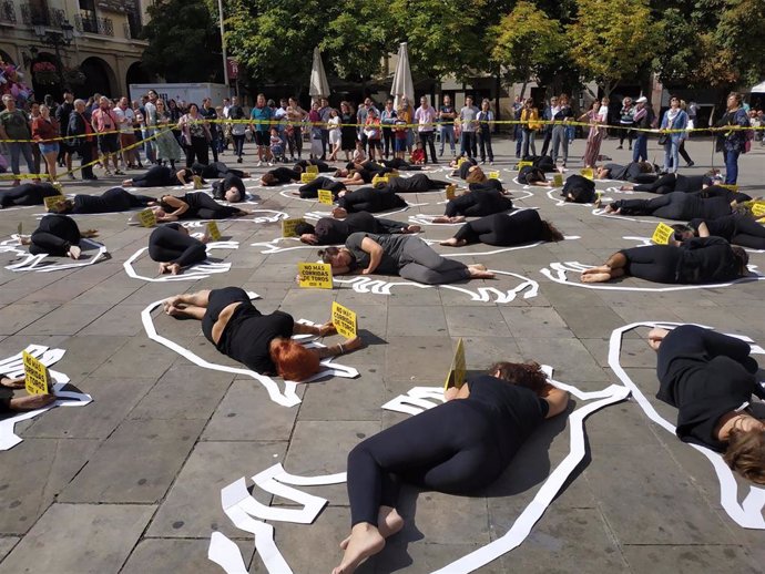 Protesta en Logroño "por el asesinato gratuito de 30 toros" en San Mateo