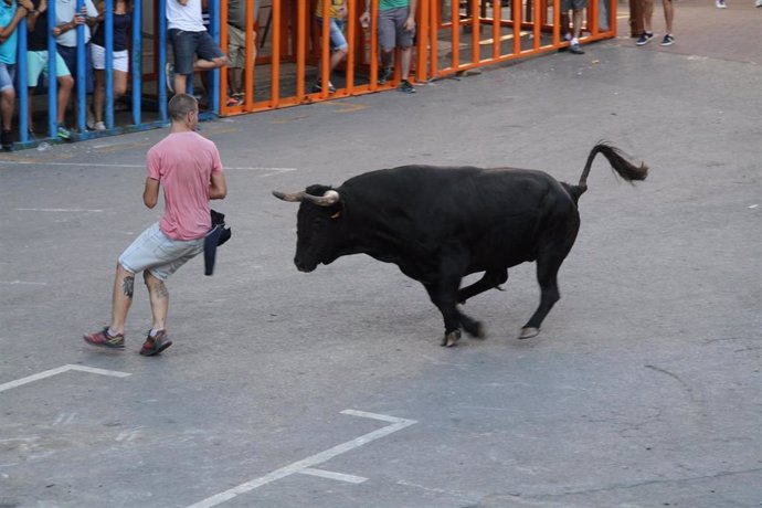 Imagen de archivo de bous al carrer en Vilafamés