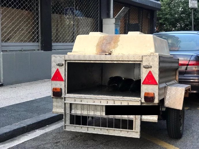 Investigan a un hombre en Vitoria por transportar mil kilos de pescado en un transporte para perros y sin refrigerar.