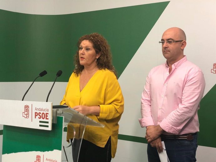 Araceli Maese en rueda de prensa en la sede del PSOE en Cádiz