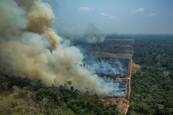 HANDOUT - 24 August 2019, Brazil, Rondonia: Smoke rises from the forest during a fire near the town of Caneiras do Jamari in Rondonia. The Brazilian government began deploying troops to help fight wildfires in Brazil's Amazon region. Photo: Victor Moriy