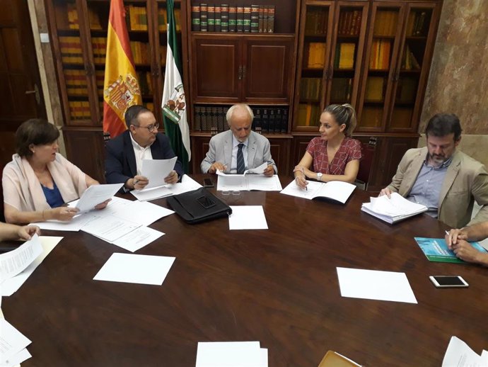El subdelegado de Gobierno en Almería, Manuel de la Fuente, en la comisión del PFEA