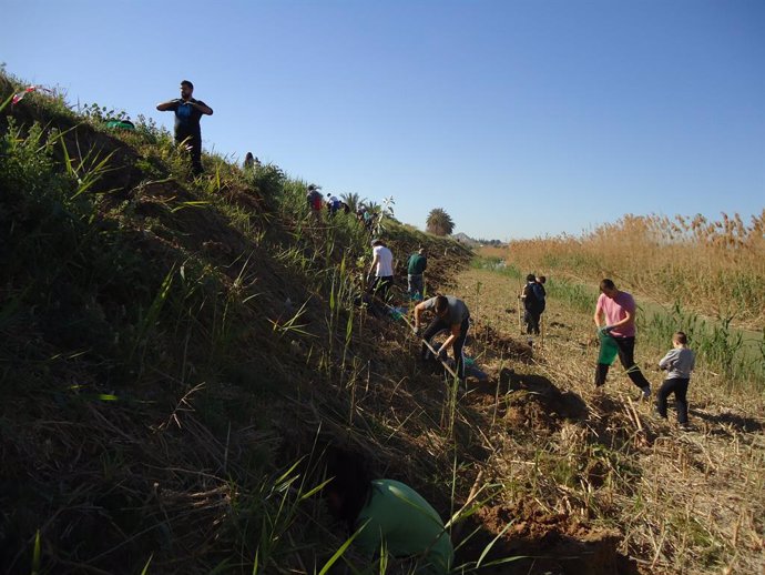 Clima.- La ONU estudia plantar bosques urbanos en África y Asia para hacer frent